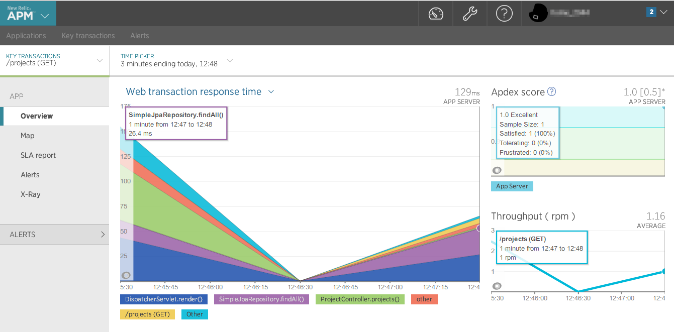 screenshot_newrelic